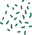 Decorative Shape